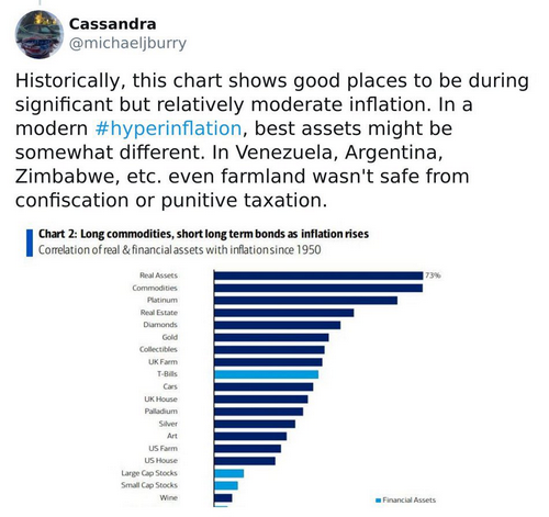 Michael Burry inflation hedge tweet